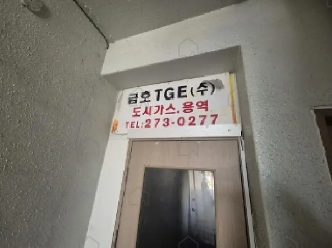 B0003172025013000041719.jpg