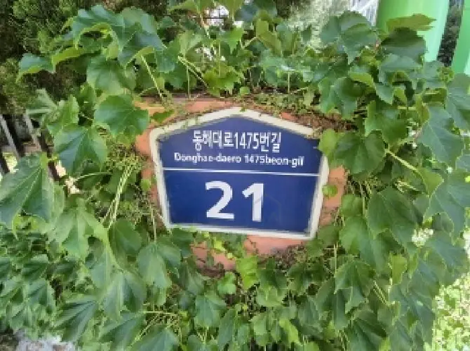 B0003172025013000041314.jpg