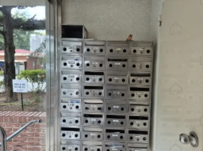 관련사진