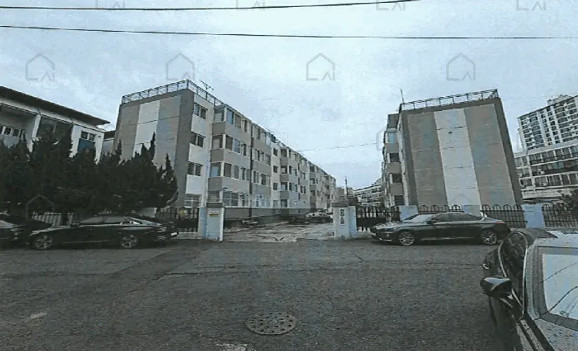 B000317202501300040166.jpg