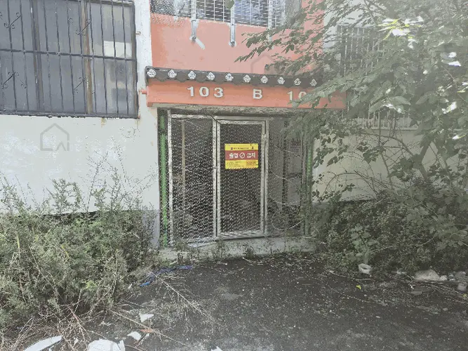 B000317202501300004137.jpg