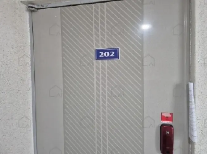 B0003172025013000046011.jpg