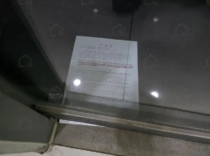 관련사진