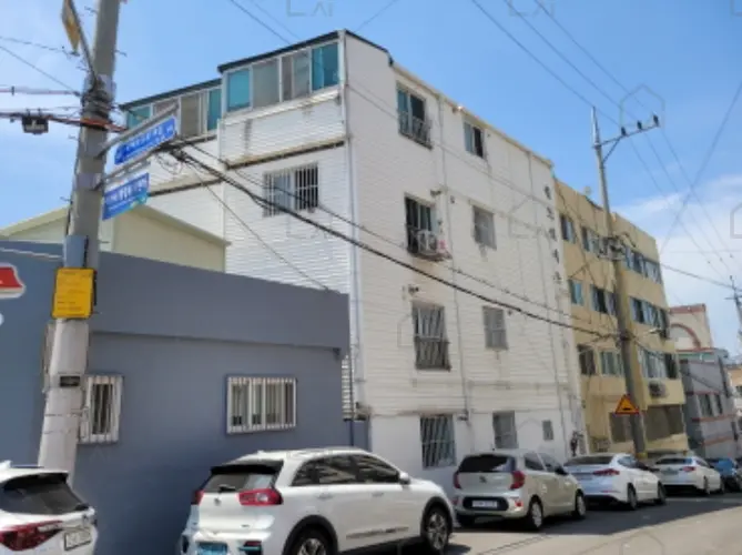 관련사진