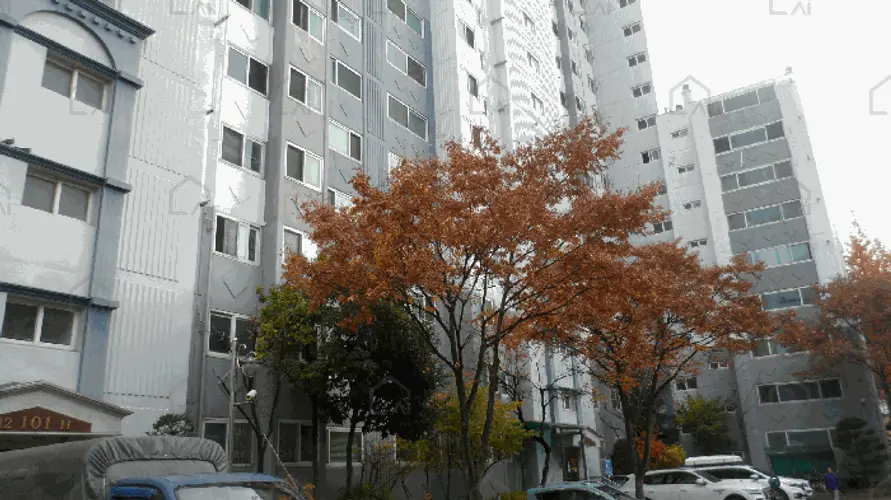 관련사진