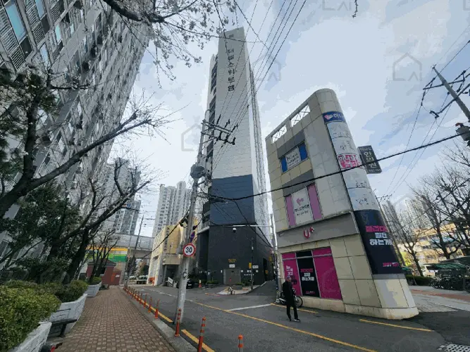 관련사진