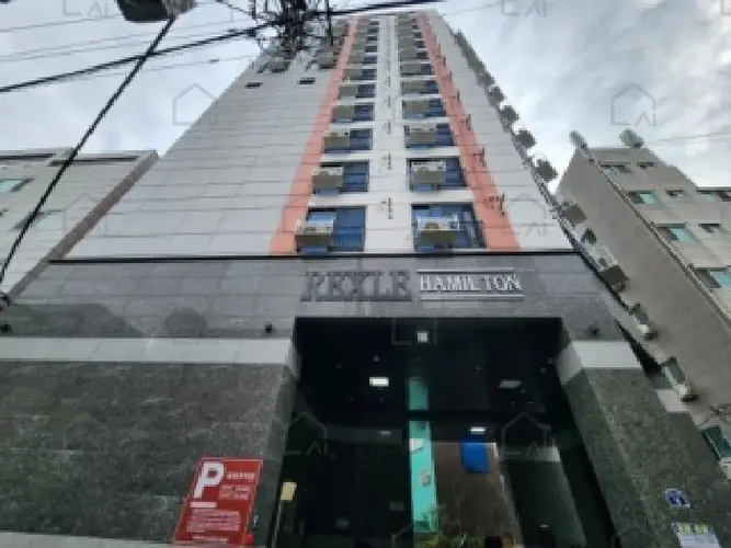 관련사진