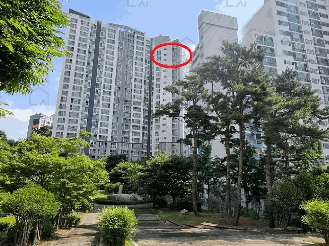 관련사진