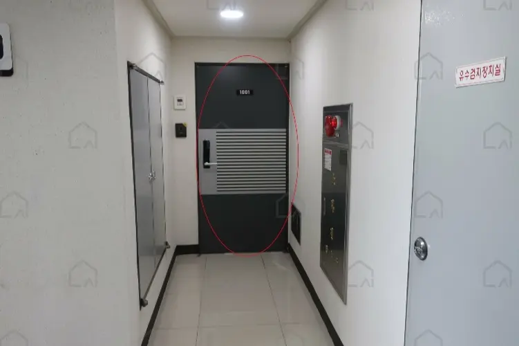 관련사진