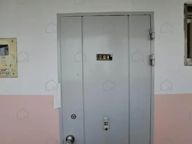 관련사진