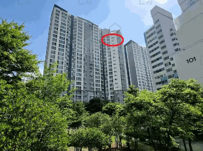 관련사진