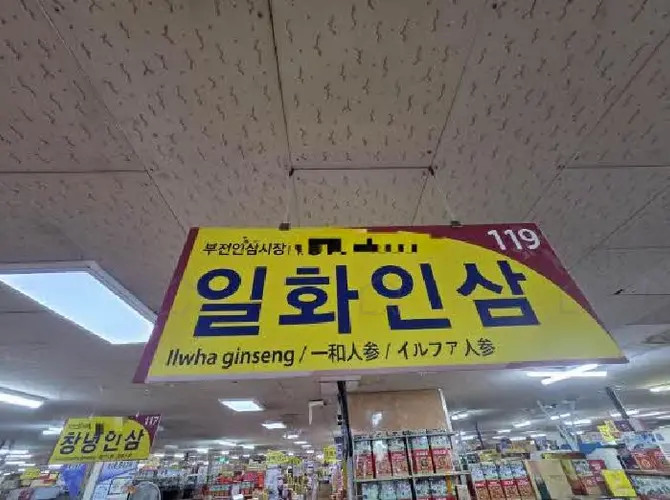 관련사진
