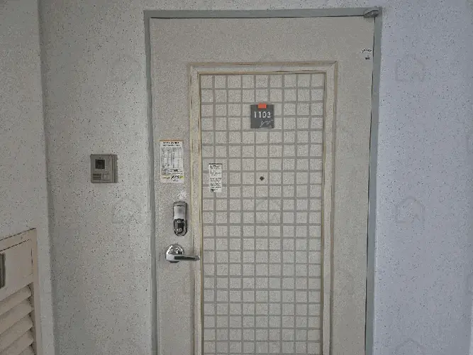 관련사진