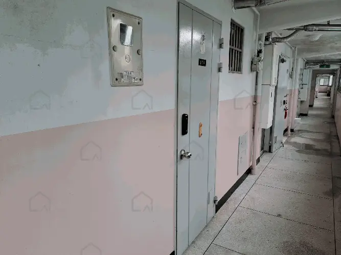 관련사진
