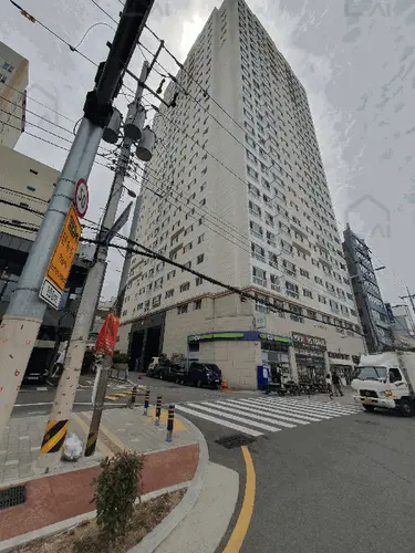 관련사진