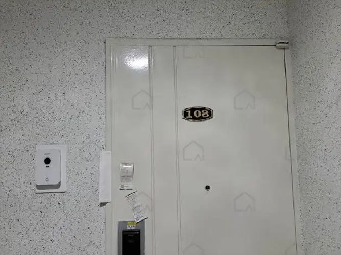 관련사진