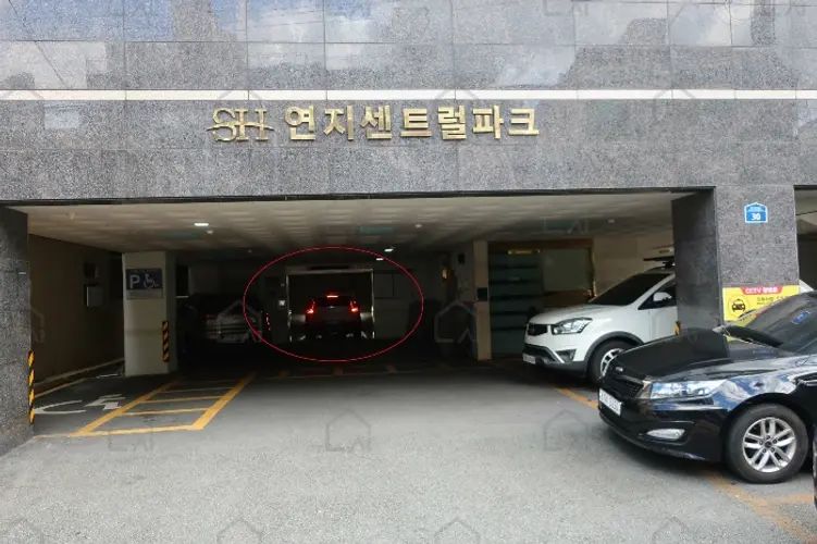 관련사진