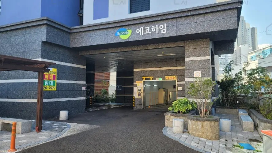 관련사진