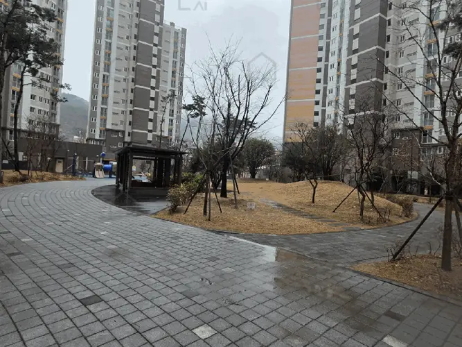 관련사진