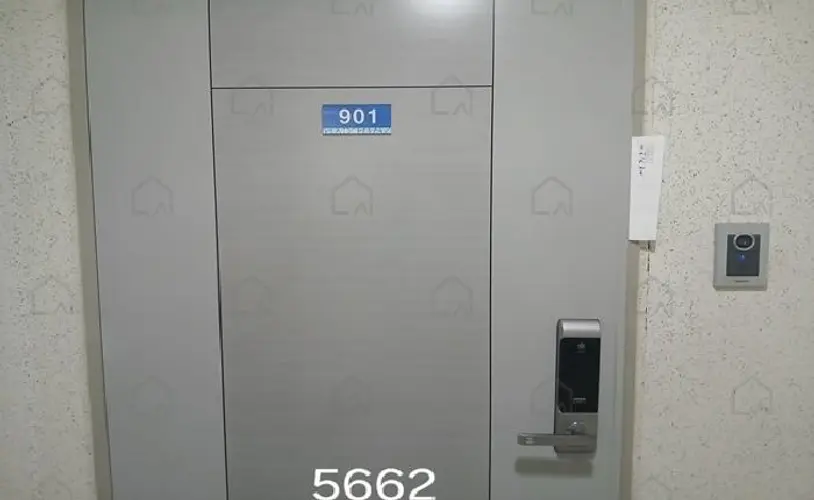 관련사진