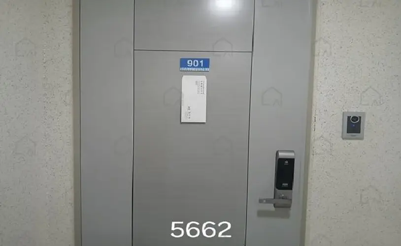 관련사진
