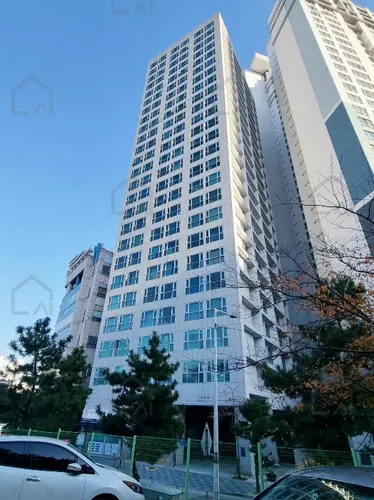 관련사진