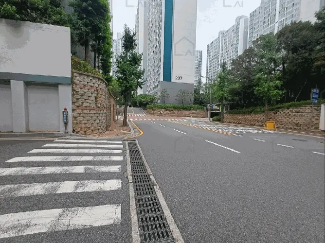 관련사진