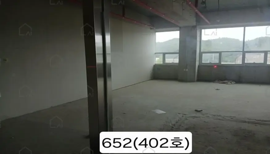 B000412202501300006526.jpg