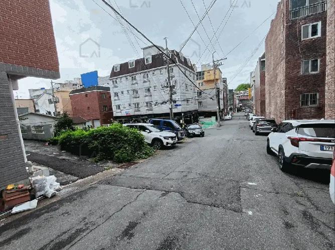 관련사진