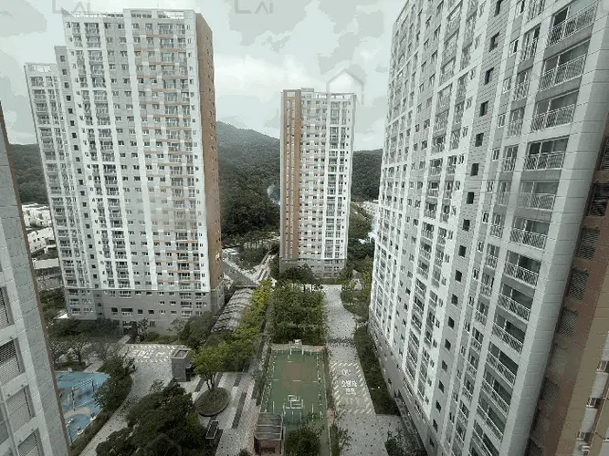 B000412202501300006605.jpg