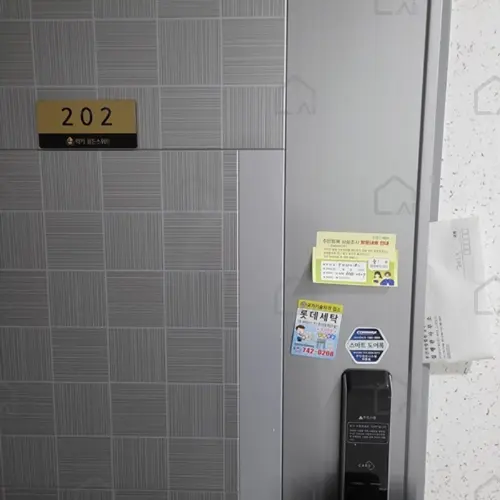 관련사진
