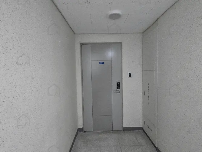 관련사진
