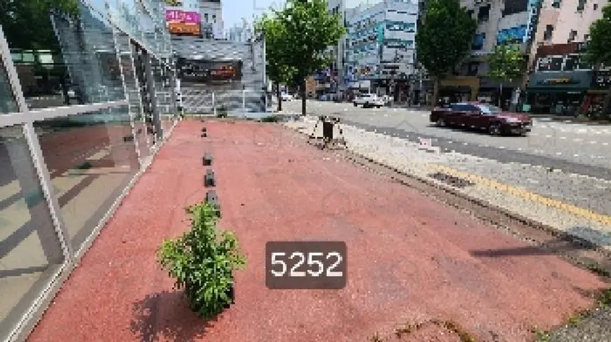 B000412202501300052524.jpg