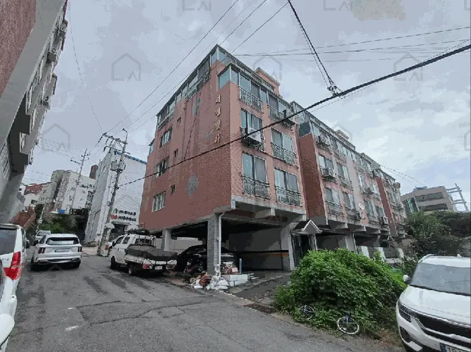 관련사진