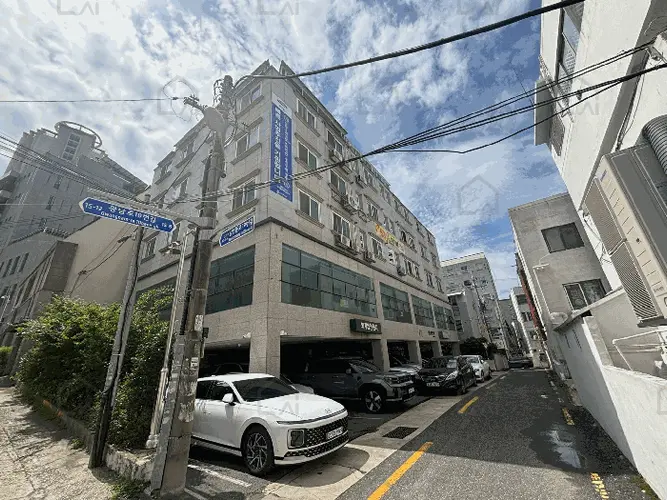 관련사진