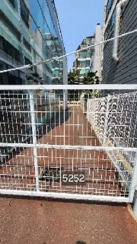 B000412202501300052525.jpg