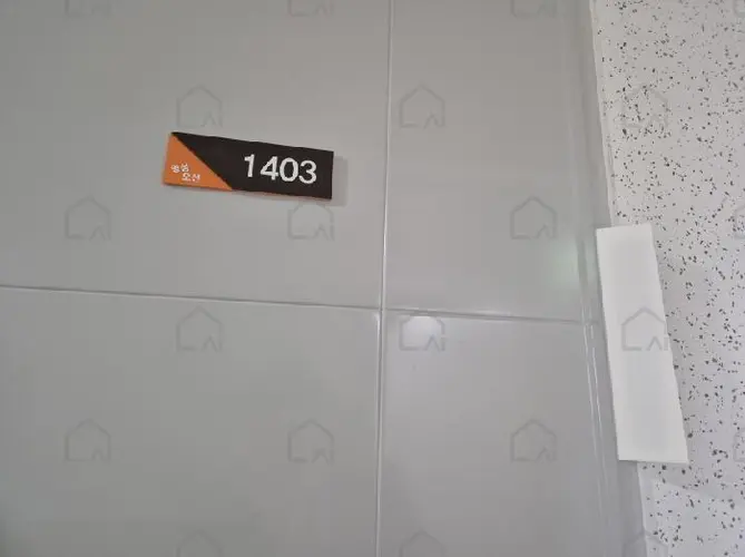 관련사진