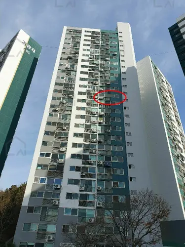 관련사진