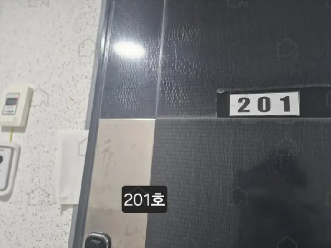 관련사진