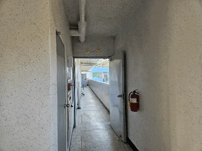 관련사진