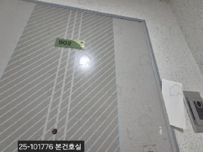 관련사진