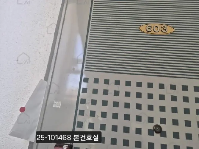 관련사진