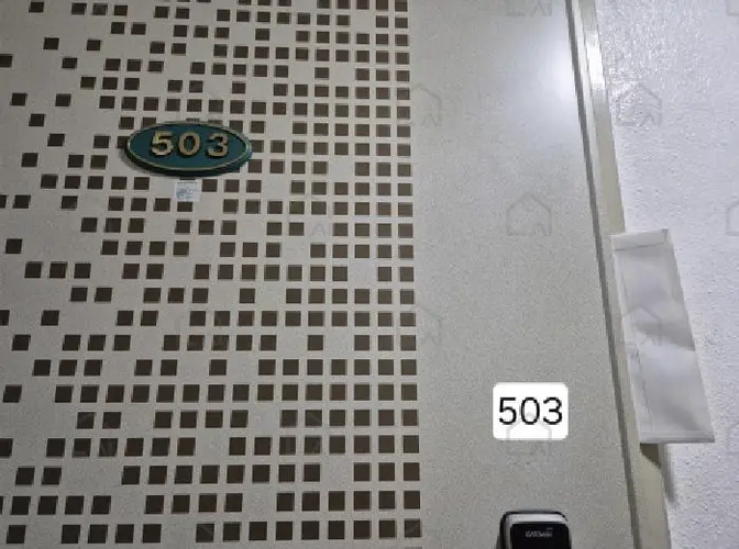 B000414202501300011165.jpg
