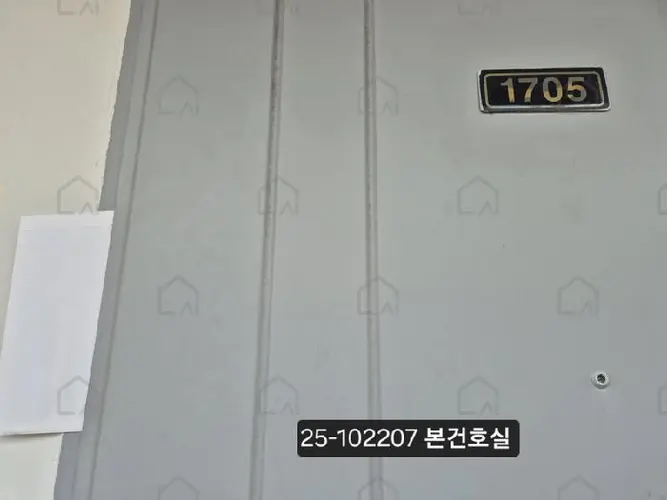 관련사진