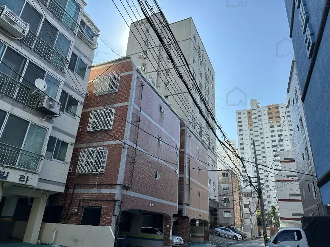 관련사진