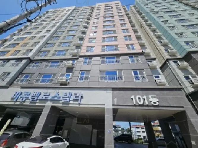 관련사진