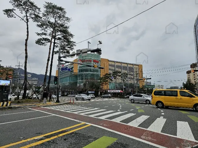 관련사진