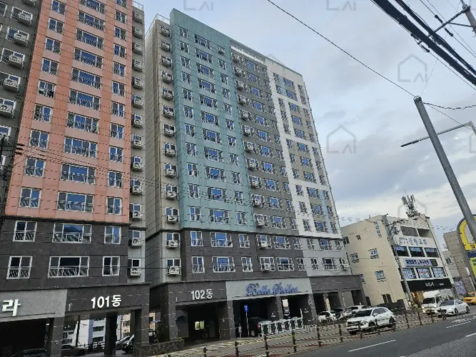 관련사진