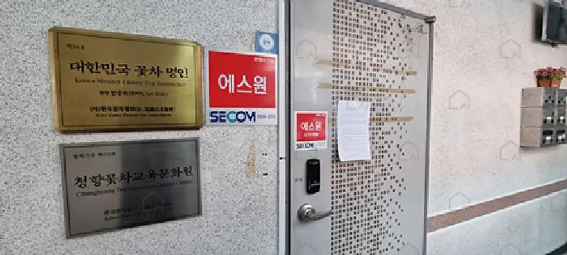 관련사진