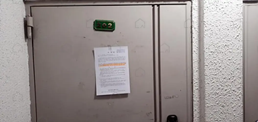 관련사진